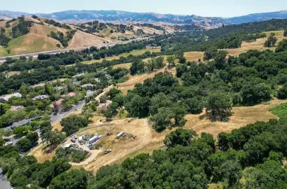 Oak Tree Farm