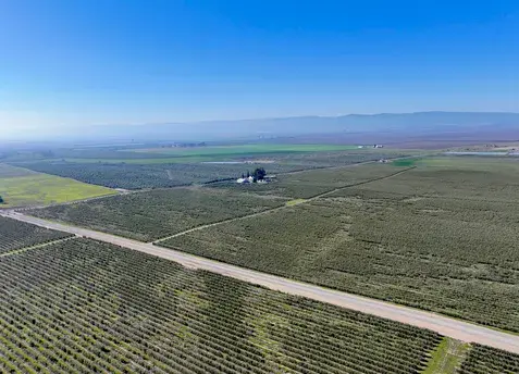 +/-1,752.21 Ac. Olives, Home & Shop