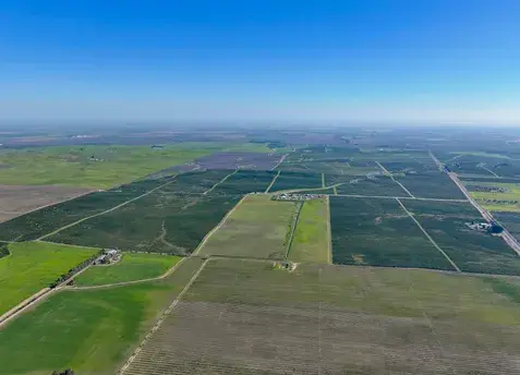 +/-1,752.21 Ac. Olives, Home & Shop