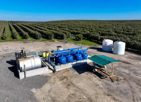 +/-1,752.21 Ac. Olives, Home & Shop
