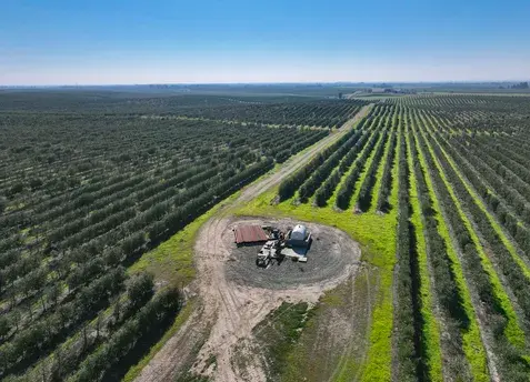 +/-1,752.21 Ac. Olives, Home & Shop